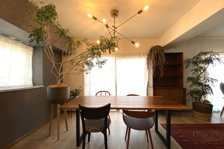 家具、カーテン、ラグ、照明、グリーン、それぞれの個性が絶妙なバランスの空間